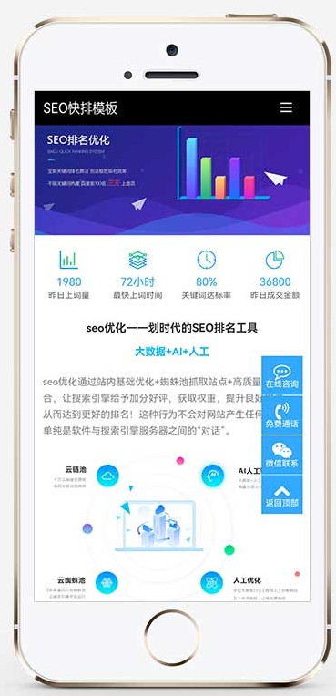 (自适应移动端)seo快排网站pbootcms模板 大气的IT网络软件公司网站源码下载1.jpg